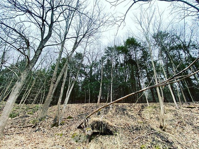 azernyc's tweet photo. Break from New York City https://t.co/BugZaoLXzo