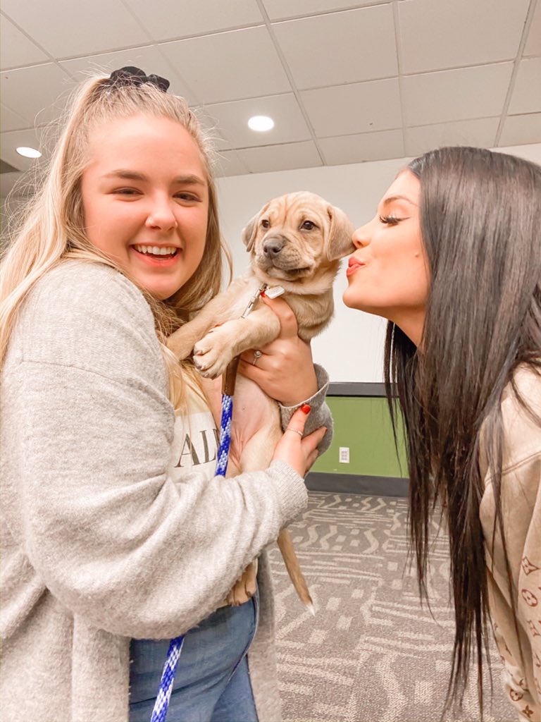 An honorary member of Alpha Chi 😍🐶