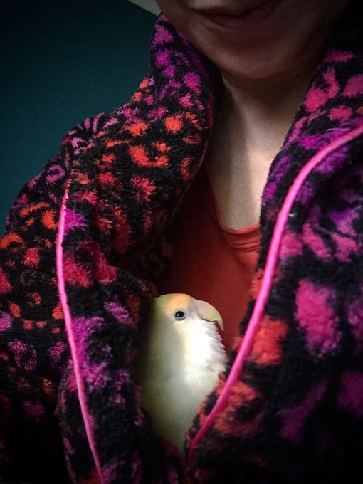 The way she looks at me 💛 https://t.co/H59BFQFPML<a href="/tag/femdom"class="tags"><span>#femdom</span></a><a href="/tag/strapon"class="tags"><span>#strapon</span></a><a href="/tag/forcedbi"class="tags"><span>#forcedbi</span></a>