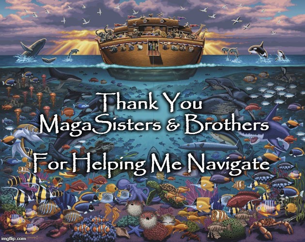 Junemom47's tweet photo. ⚓️Noah’s Anchors Aweigh⚓️

🦋@Patriotress
🐘@MichaelPaulhei2
🐝@Lynnoftrumpland
🐞@KarenLadybug1
🐫@debraraes
🐲@bethlahem16
🐳@BrendiWells
🐹@DarlaShine
🐻@blondraiderbabe
🦄@dunbdav
🦊@alexa_baxter
🐇@dawnsrainbows
🦘@America10355477
🦀@MeltingInMarana
🦅@pcal4HIM
🦢@HottieBot https://t.co/GE9Gs8hEbu