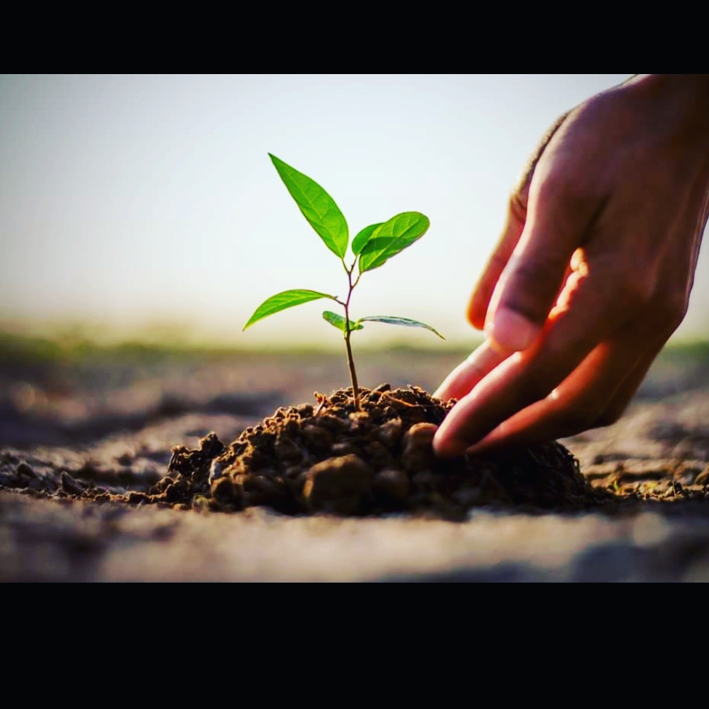 Himansh42494707's tweet photo. #Growth #bcpsolutions #expectations #support #objective #delhidiaries #delhincr https://t.co/pd8nHBunSs