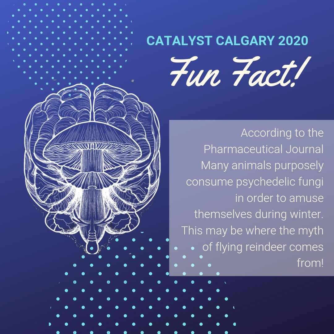 CATALYST Presents Legacy Account tweet media