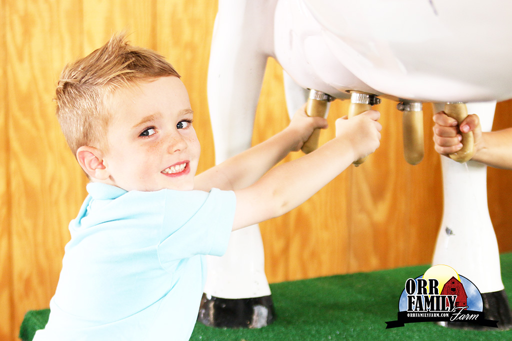 orrfamilyfarm's tweet photo. Stop by the Discovery Barn this spring to check out all the interactive activities we have! Learn farm-to-table concepts and even how to milk a cow! See y’all on March 18! https://t.co/bS9lTklx8Y