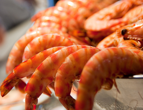 Sandras_WI's tweet photo. Love happens when you least expect it-- but when you order one of our delicious shrimp cocktails, it's practically guaranteed!😍🦐
Appetizers are $2 off today!
.
.
.
#SandrasOnThePark #WisconsinEats #WisconsinFoodie #MilwaukeeEats #ThingsToDoInMilwaukee https://t.co/EjXpfdEaz5