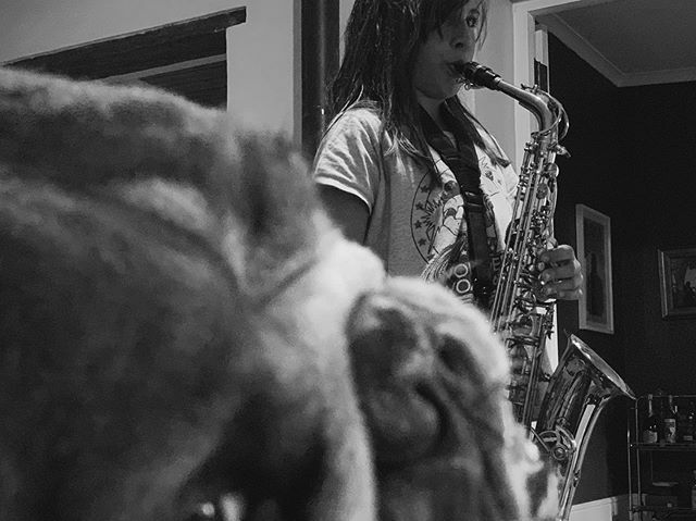 johnlouiswest's tweet photo. Do you even jazz bro? #bulldogsofinstagram https://t.co/hzMDzxRv5F https://t.co/4AKFoWxd2Q