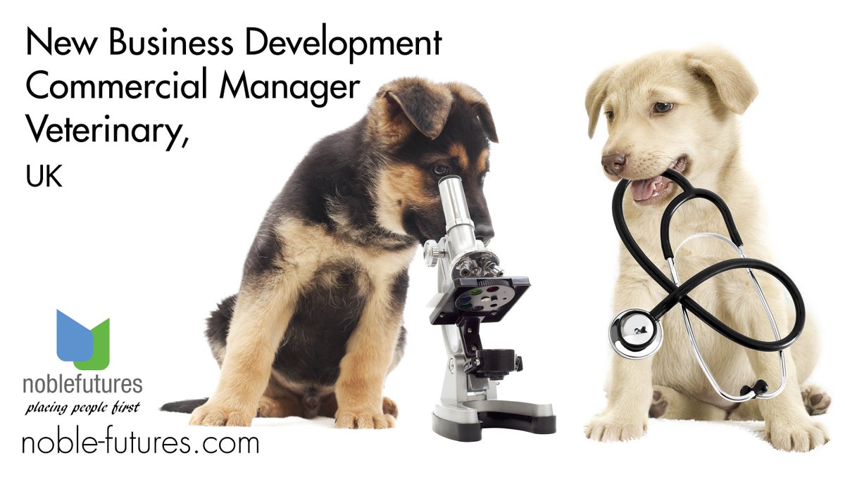 noblefutures's tweet photo. Noble Futures are excited to talk to individuals interested in New Business Development. See https://t.co/wGxunNuusg Ref 21424 for full details.
#animalhealthjobs #recruitment #noblefutures https://t.co/C2PfKnbS1C