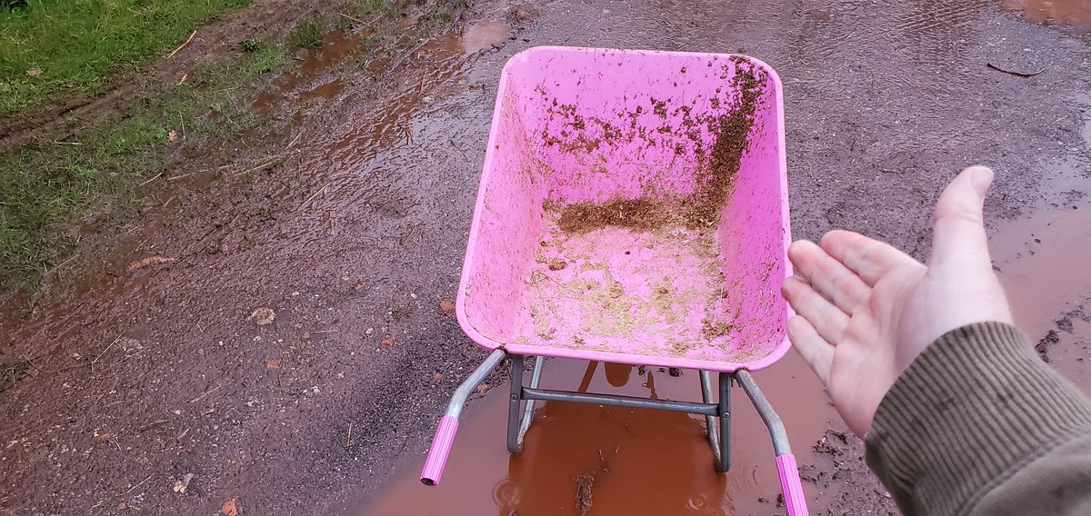 mototingle's tweet image. Today I have my Katie Price designer wheel barrow for mucking out. #devons #most #dapper #stable #boy