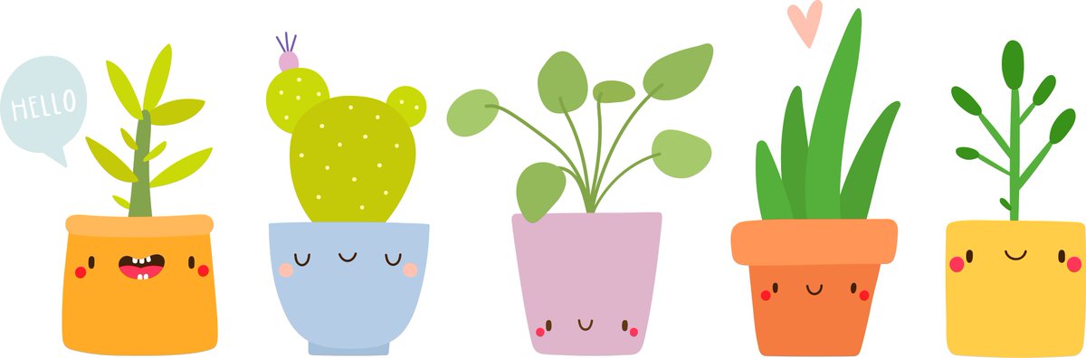 PTHort's tweet image. What plants would you like to find at our 2020 Plant Fair? Help us stock what YOU want, #Toronto. Have your say! surveymonkey.com/r/D7Z8XR5