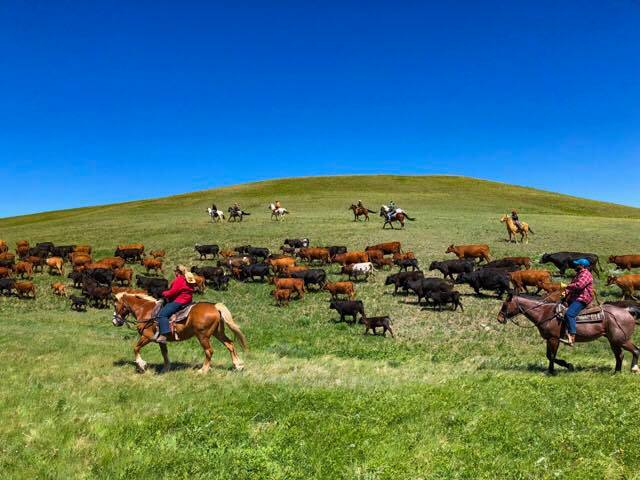 DudeRanchers's tweet photo. They say wide open spaces are good for the heart and we think @BarWGuestRanch is just what you need!
#DudeRanch #DudeRanchVacation #GuestRanch #GuestRanchVacations #FamilyVacation #Vacation2020 #AdventureDestination #Travel #FamilyTravel #AllInclusive #RanchVacation #CattleDrive https://t.co/rY5Ak84BS6