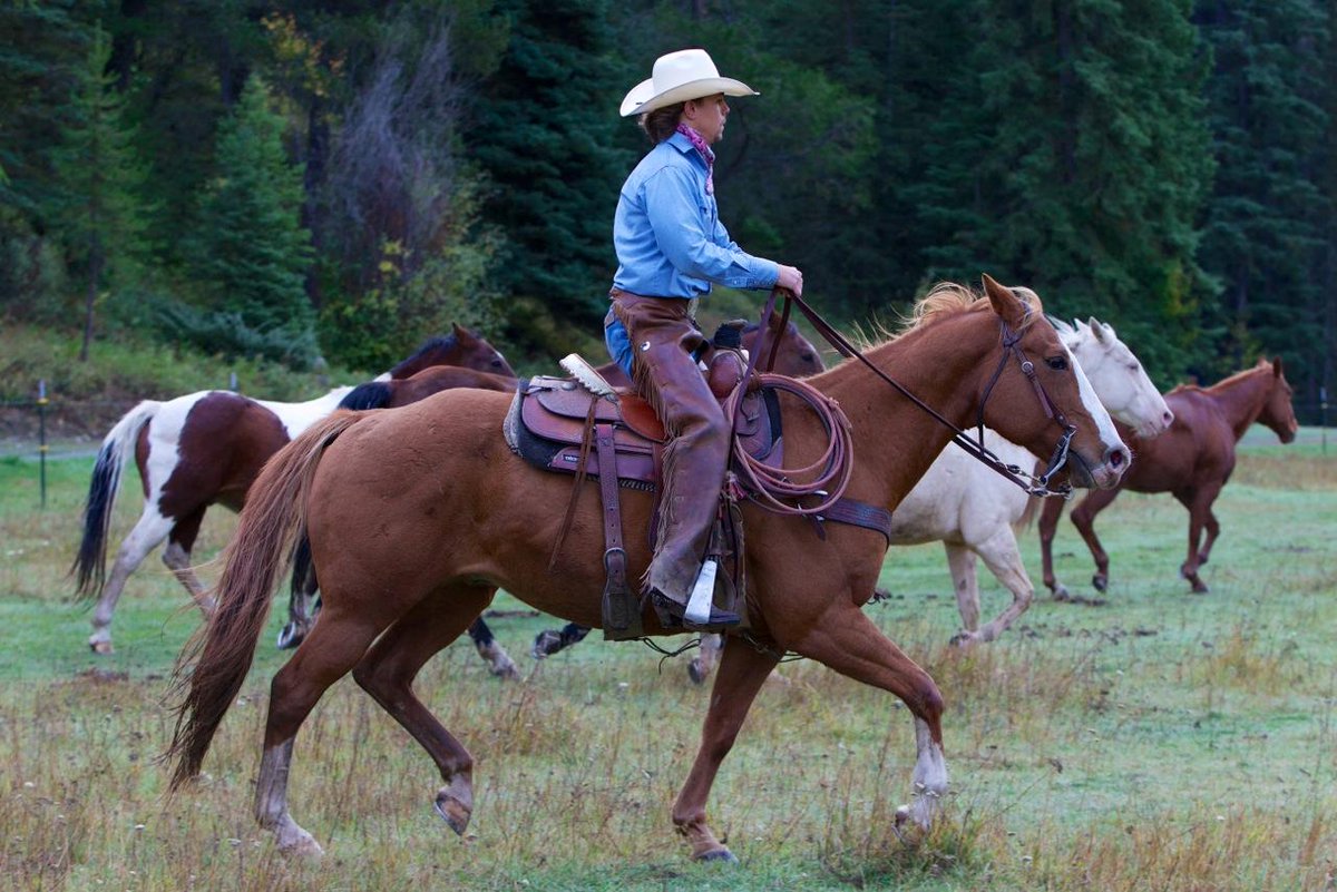 DudeRanchers's tweet photo. They say wide open spaces are good for the heart and we think @BarWGuestRanch is just what you need!
#DudeRanch #DudeRanchVacation #GuestRanch #GuestRanchVacations #FamilyVacation #Vacation2020 #AdventureDestination #Travel #FamilyTravel #AllInclusive #RanchVacation #CattleDrive https://t.co/rY5Ak84BS6