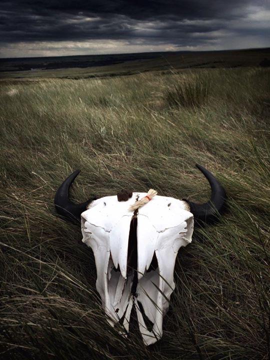 BucketlistAb's tweet photo. Not only will you learn about the buffalo hunts, you can re-enact them too.

@HSIBuffaloJump is camouflaged in the sandstone outcrops in the foothills of Southern Alberta near #FortMcLeod

https://t.co/65jxGhPfb6

#BucketlistAB #explorealberta @IAmASnowSeeker https://t.co/gDjJlOcdds