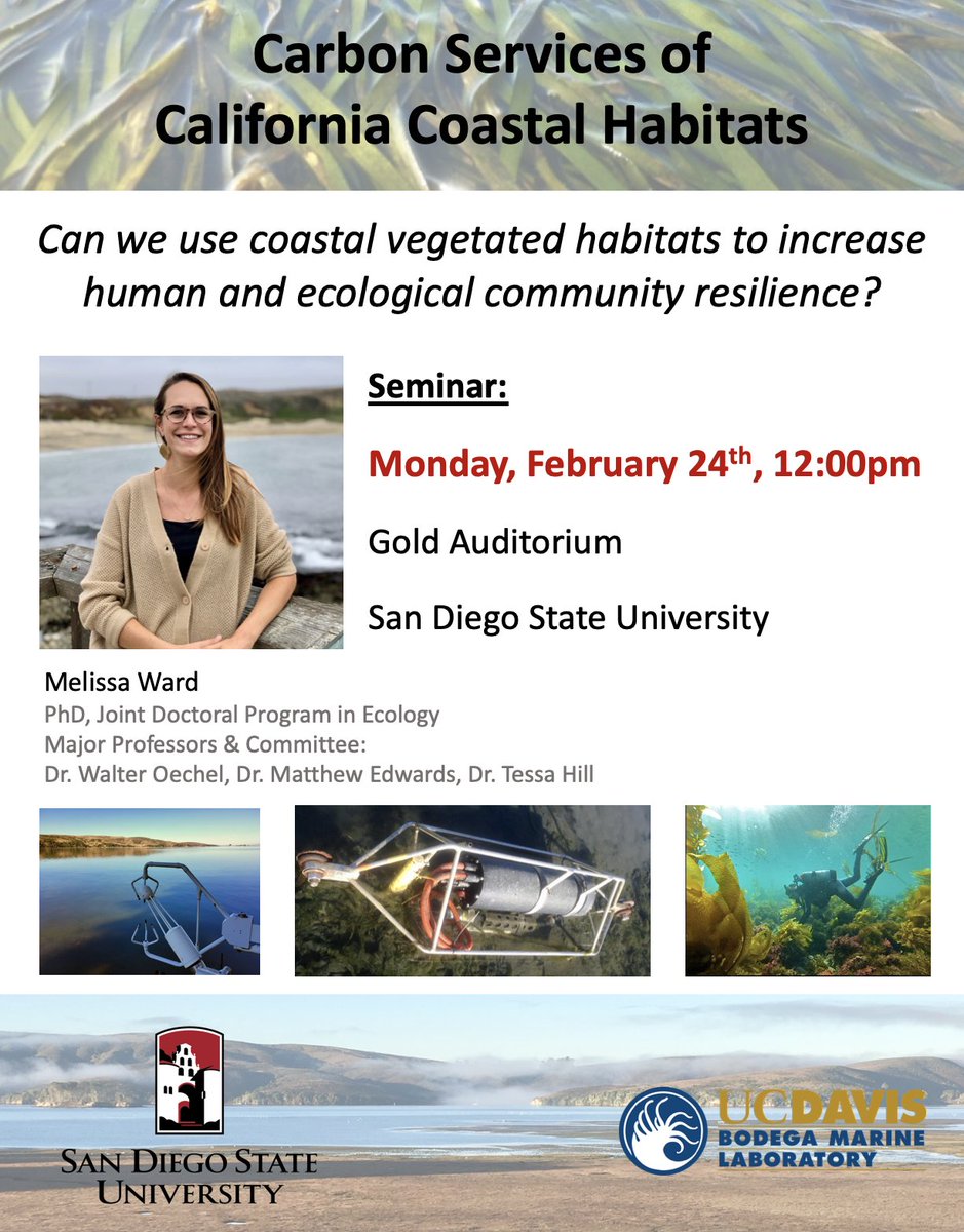 Melissa Ward tweet media