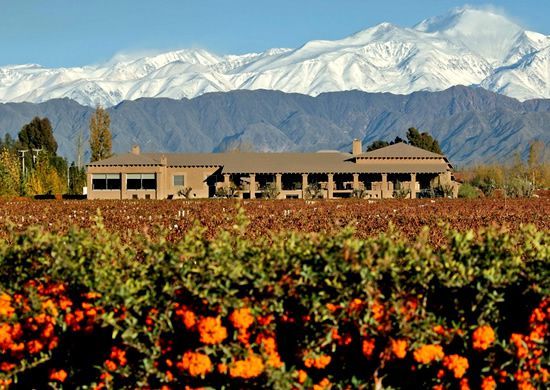 Happy National Drink Wine Day! 🍷
Check out our Top 4 selections of Mendoza wineries, and plan your getaway to the home of Malbec wine.
buff.ly/2wkF2Wm