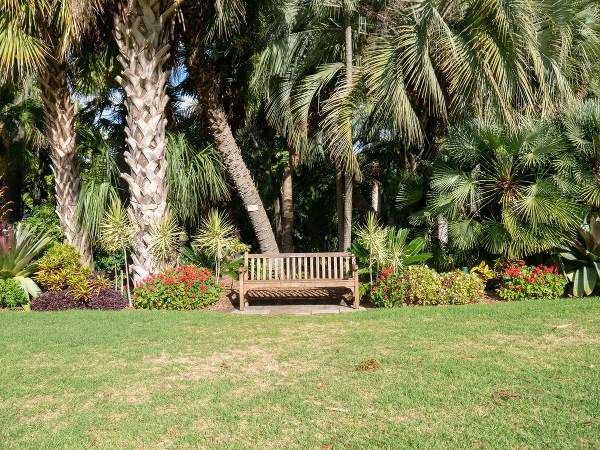 RaynorShine_us's tweet photo. Be careful to not pile it up against tree trunks, which encourages voles and harmful insects to damage the trunks and excess moisture can cause rot. And plants tend to move their roots into deep mulch and out of the soil. So keep your plants happy! #TipTuesday #RaynorShine https://t.co/XdhkKsMvz9