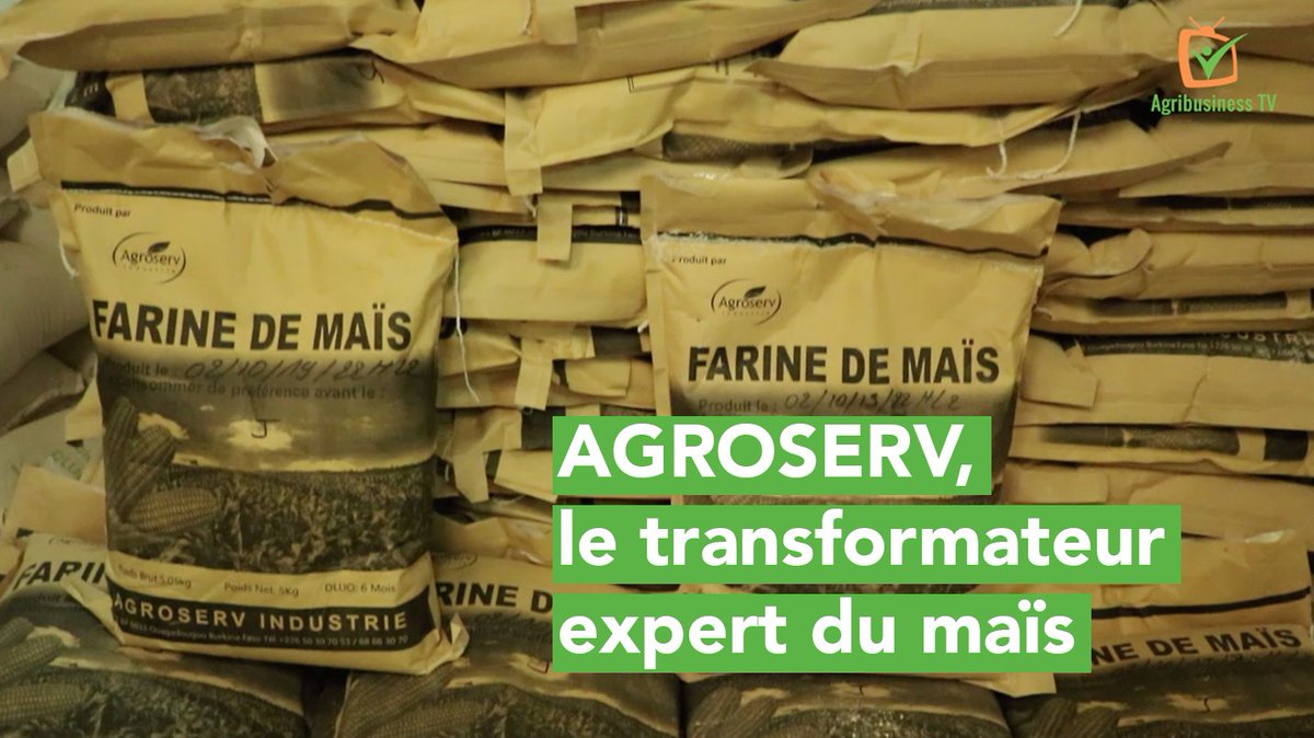 AgribusinessTV's tweet photo. 📽️ Au #BurkinaFaso 🇧🇫, Siaka SANON a repris le commerce de sa mère, qu’il a transformé en une industrie de transformation de maïs 🌽 ! En savoir plus ▶️  https://t.co/vTJjfDnTKS 

#AgribusinessTV #PubliReportage #video #Lwili https://t.co/DPiYwLYkoP