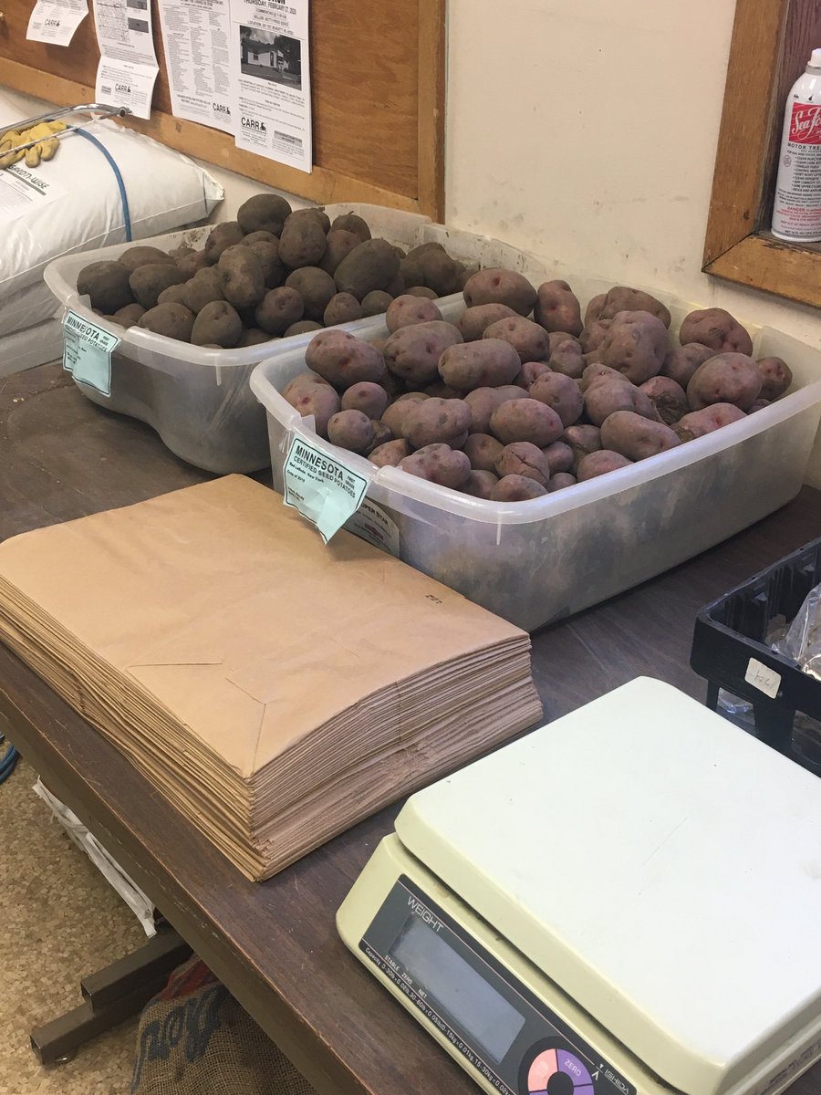 GBCoopSeed's tweet photo. Seed potatoes have arrived!!!!!  Come by the farm store and pick up your potatoes today https://t.co/DBJ4jyI7R3