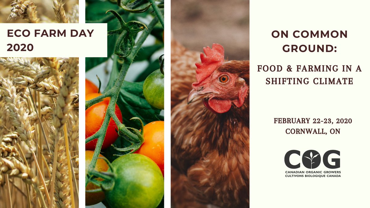 Eco Farm Day is less than a week away! We have some incredible speakers lined up including Kris Nichols, Ellen Polishuk, and Gillian Flies. 

Don't miss it!

cog.ca/ottawa/eco-far…