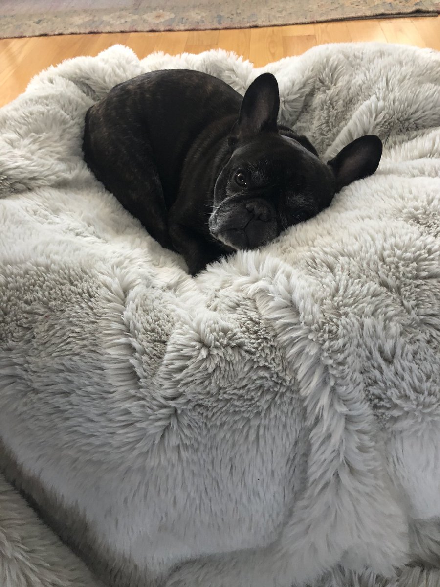 It’s remote week for <a href="/HubSpot/">HubSpot</a>’s Marketing Team which means:

More time with the little prince 👑(pictured below)
More empathy for fully remote colleagues 👨🏾‍💻
Less time washing my hair 🧖🏽‍♀️

Let’s do this #hubspotlife