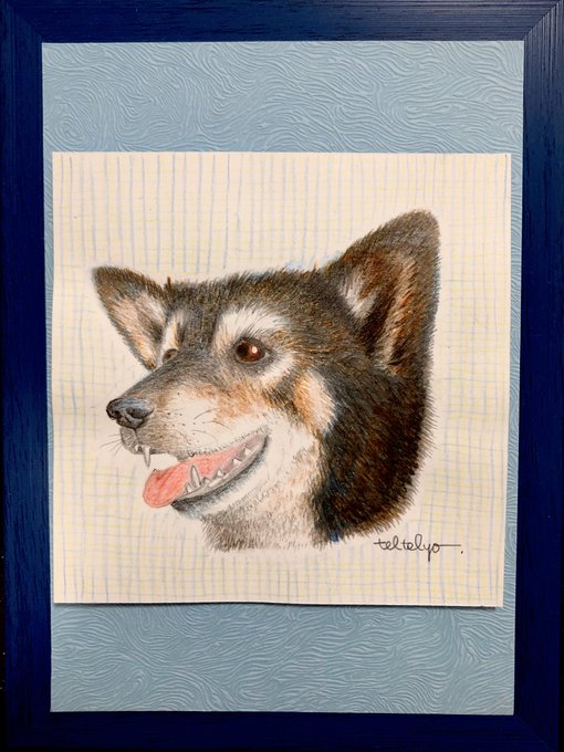 黒柴じろさんのtwitterイラスト検索結果