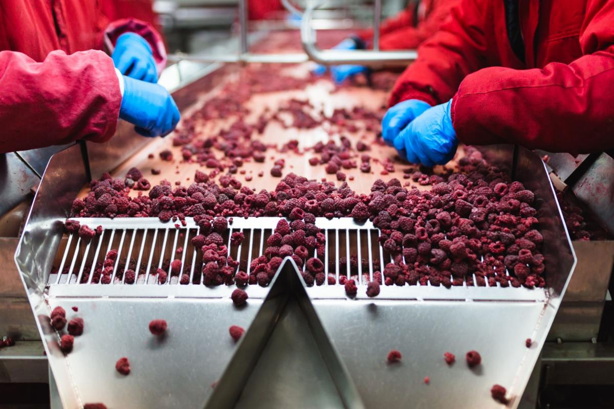 CERTUS_safety's tweet photo. For frozen food producers and consumers the new era of food safety means leveraging technology, to create a more digital, traceable and safer food system. The CERTUS System, paired with its Empower software, generates and organizes detailed reports. #fda #traceability #technology https://t.co/yaaiDaoibS