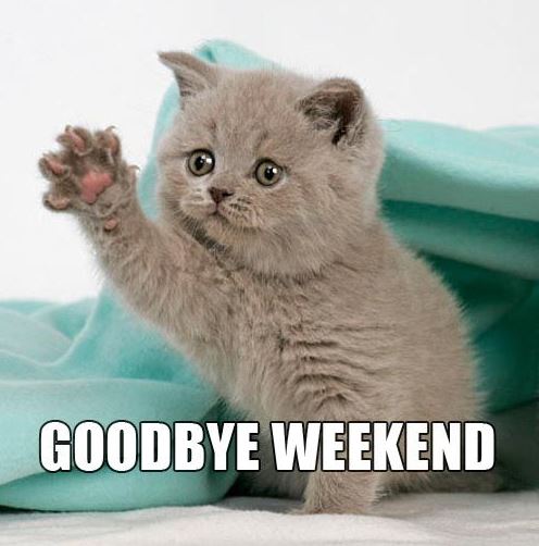 calgarytransit's tweet photo. #CTRiders! Say good bye to the long weekend and hello to your week! It is -25 with wind chill so dress warm and grab a warm drink for your commute. All #RedLine and #BlueLine CTrains are on schedule. #LayerItUp #TuesdayMorning https://t.co/0IkO1vLTJp