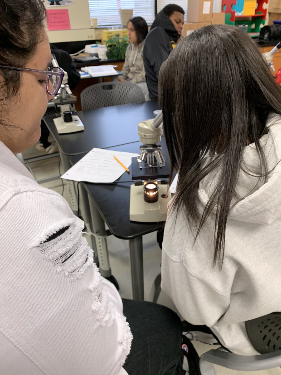 kvague's tweet photo. MHS Forensic Science students studying hair samples for identification. Every hair tells a story.  #forensics #sciencerocks @MonroeHS_NC @UCPS_MonroeNC https://t.co/wM5PyjI8Vy