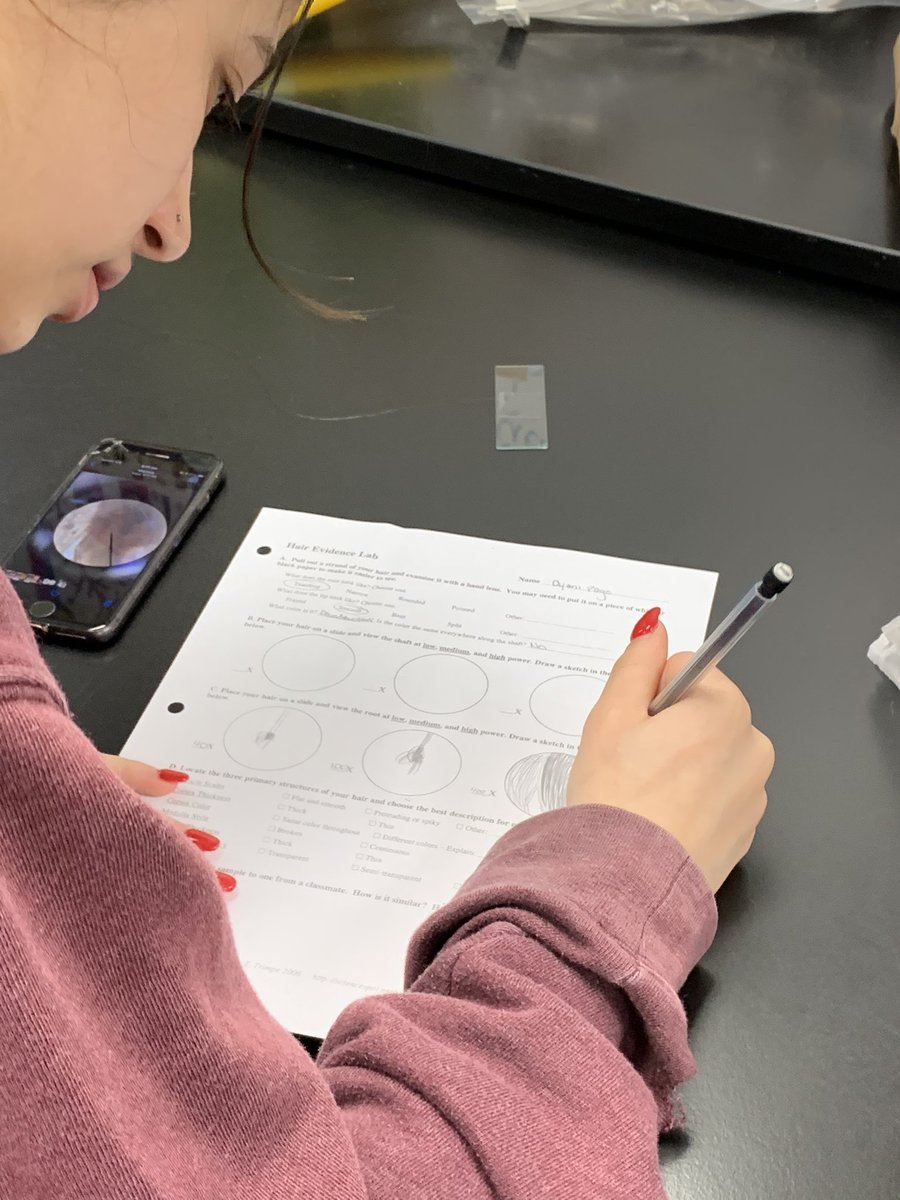 kvague's tweet photo. MHS Forensic Science students studying hair samples for identification. Every hair tells a story.  #forensics #sciencerocks @MonroeHS_NC @UCPS_MonroeNC https://t.co/wM5PyjI8Vy
