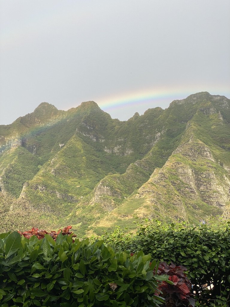 travelwithguchi's tweet photo. Kuoloa Ranch, Oahu: An Adventure for the Entire Family
https://t.co/i6cqNXoQBW https://t.co/AkEIepjtRQ