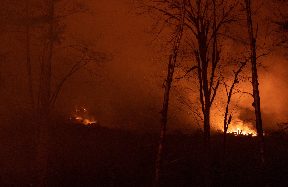 social360's tweet photo. The Australian bushfires gave rise to an entanglement of misinformation and climate denial, promulgated at the highest levels of government. We ask how this #InformationCrisis put lives at risk. 

#misinformation #climatecrisis #fakenews

https://t.co/CUNaWtsiFO https://t.co/QuA13B4kGh
