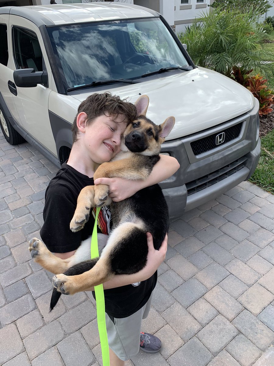 youngwidowmommy's tweet photo. #PTSD kicking in. We get our beautiful #gsd on Sat. Last time I got a #puppy my hubby died 3 wks later. It’s the little things that can throw you into a tail spin. But look at his face. #purejoy he may not get people but he gets animals #ActuallyAutistic #widow #badasswidow https://t.co/mdmtLQMugN