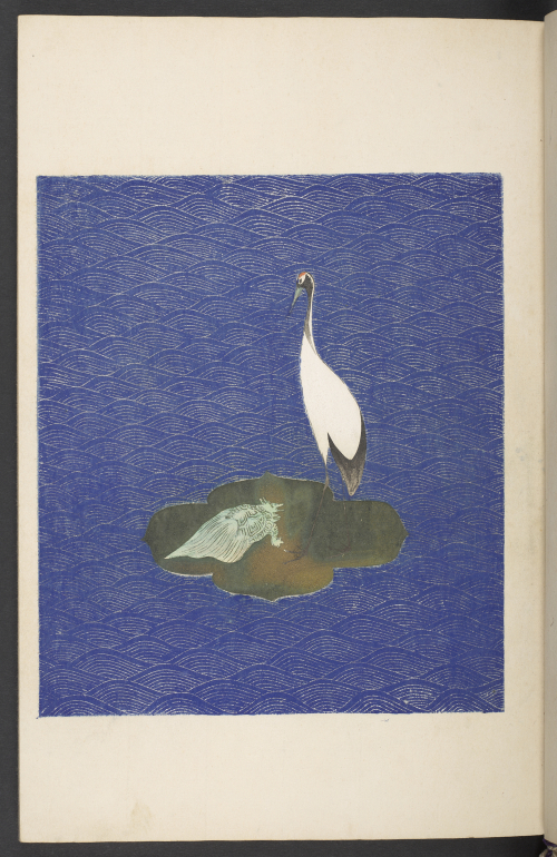 BL Asian and African tweet media