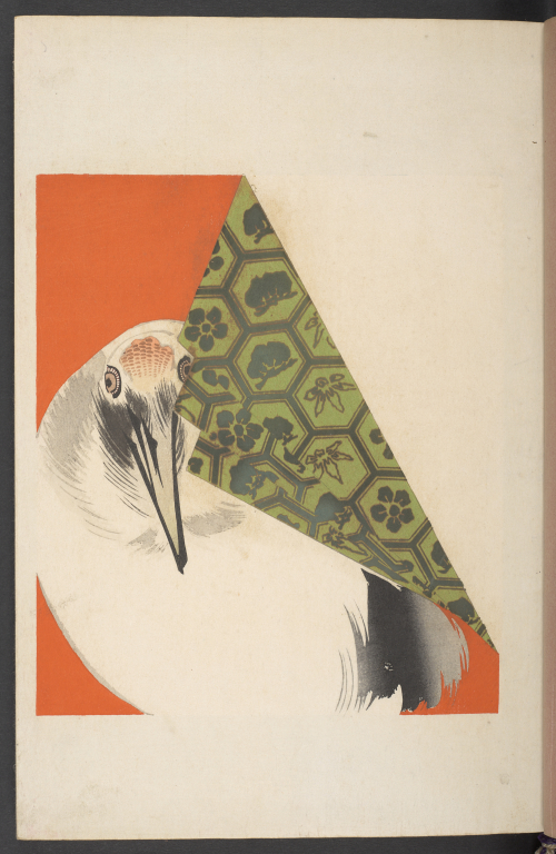 BL Asian and African tweet media