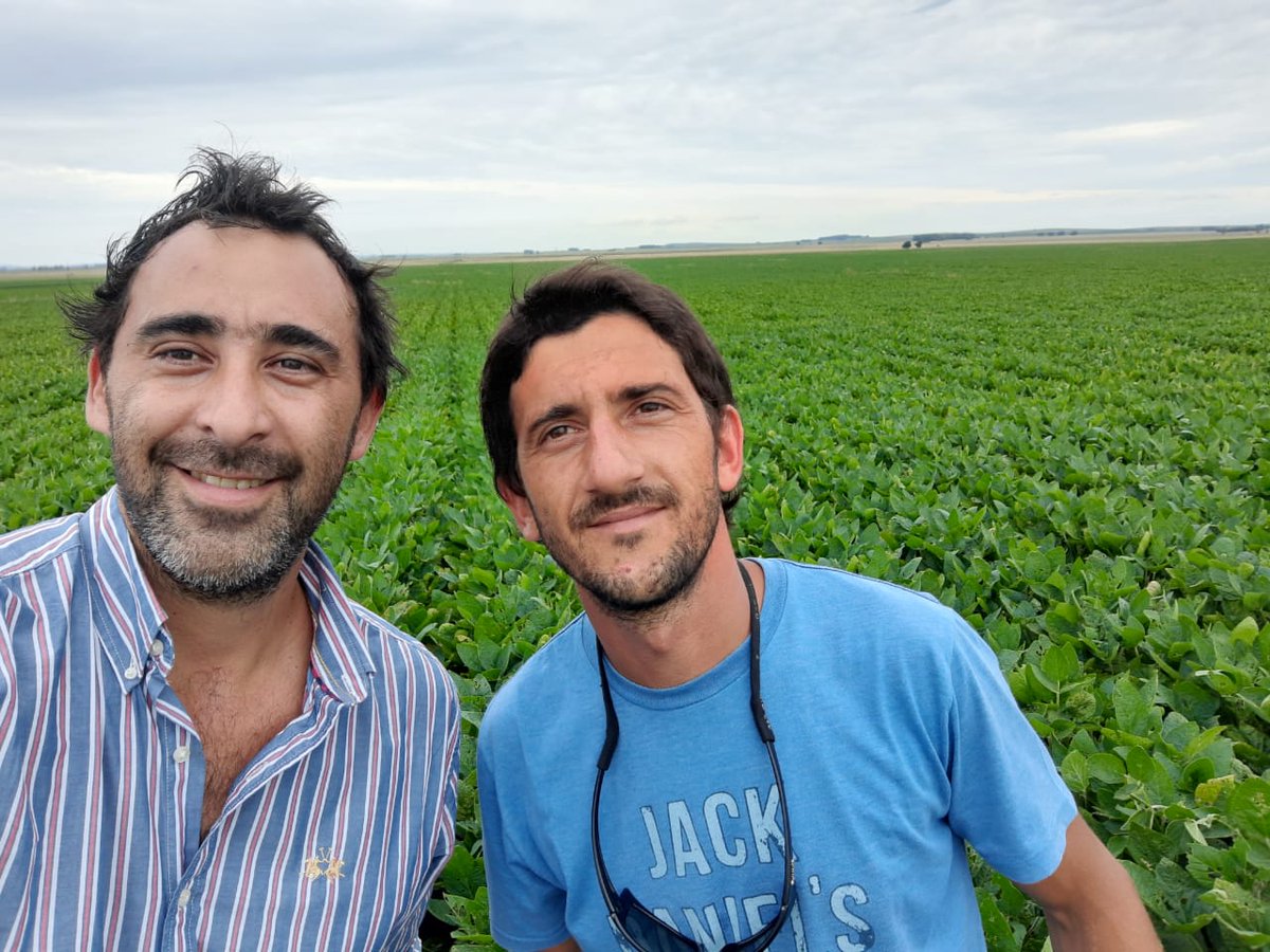 bioceressemilla's tweet photo. #BioRecorridas Junto a la Cooperativa Agropecuaria e Industrial de Olavarría recorrimos lotes de #Biosoja 3.41 y 4.11 tratadas con los productos #RizoliqLLI y #RizodermaSoja de @RizobacterARG 💪 https://t.co/mJzl1D8xNb