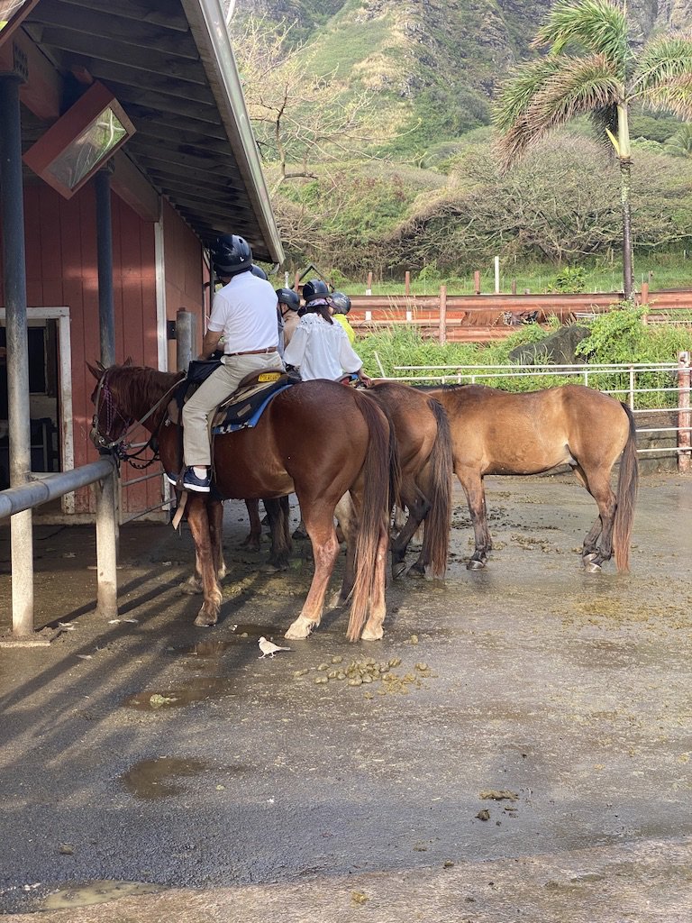 travelwithguchi's tweet photo. Kuoloa Ranch, Oahu: An Adventure for the Entire Family
https://t.co/i6cqNXoQBW https://t.co/AkEIepjtRQ