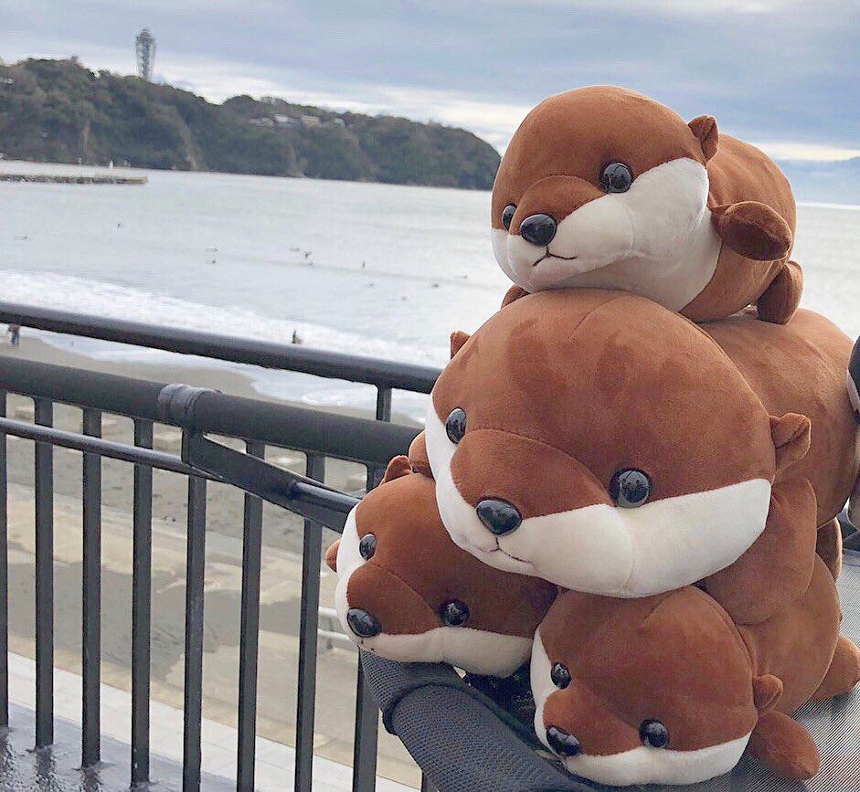 otter_2020's tweet photo. こんにちは学習院大学テニスサークルのOTTER T.Cです🎾
OTTERではテニス経験者、未経験者問わず楽しく活動しています✨
大学生になり新しいことを始めたいなという未経験者さんも、大学でもテニスを続けたいなという経験者さんも大歓迎です😻
気になる方は是非声をかけてください👐
#春から学習院 https://t.co/pNT7lECr4u