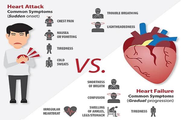 Нападение перевод. Heart Attack. Cardiac glycosides Side Effects. Remedy Herbs. Heart Attack. Cardiac glycosides.