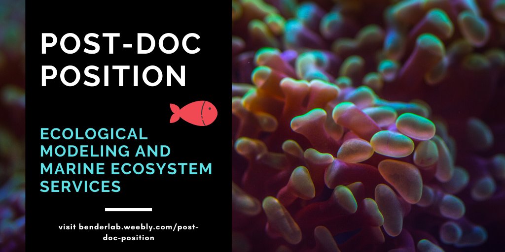 Are you interested in ecosystem functions, services and the responses of biodiversity to global change?🧐

PhD position at @BenderMarineLab 

Application deadline: March 15th, 2020

More info: benderlab.weebly.com/post-doc-posit…

#PostDocJobs #AcademicJobs #MarineEcology #ScienceJobs #Reefs