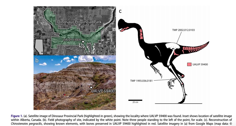 EREM-XpW4AEGan5?format=jpg&name=medium