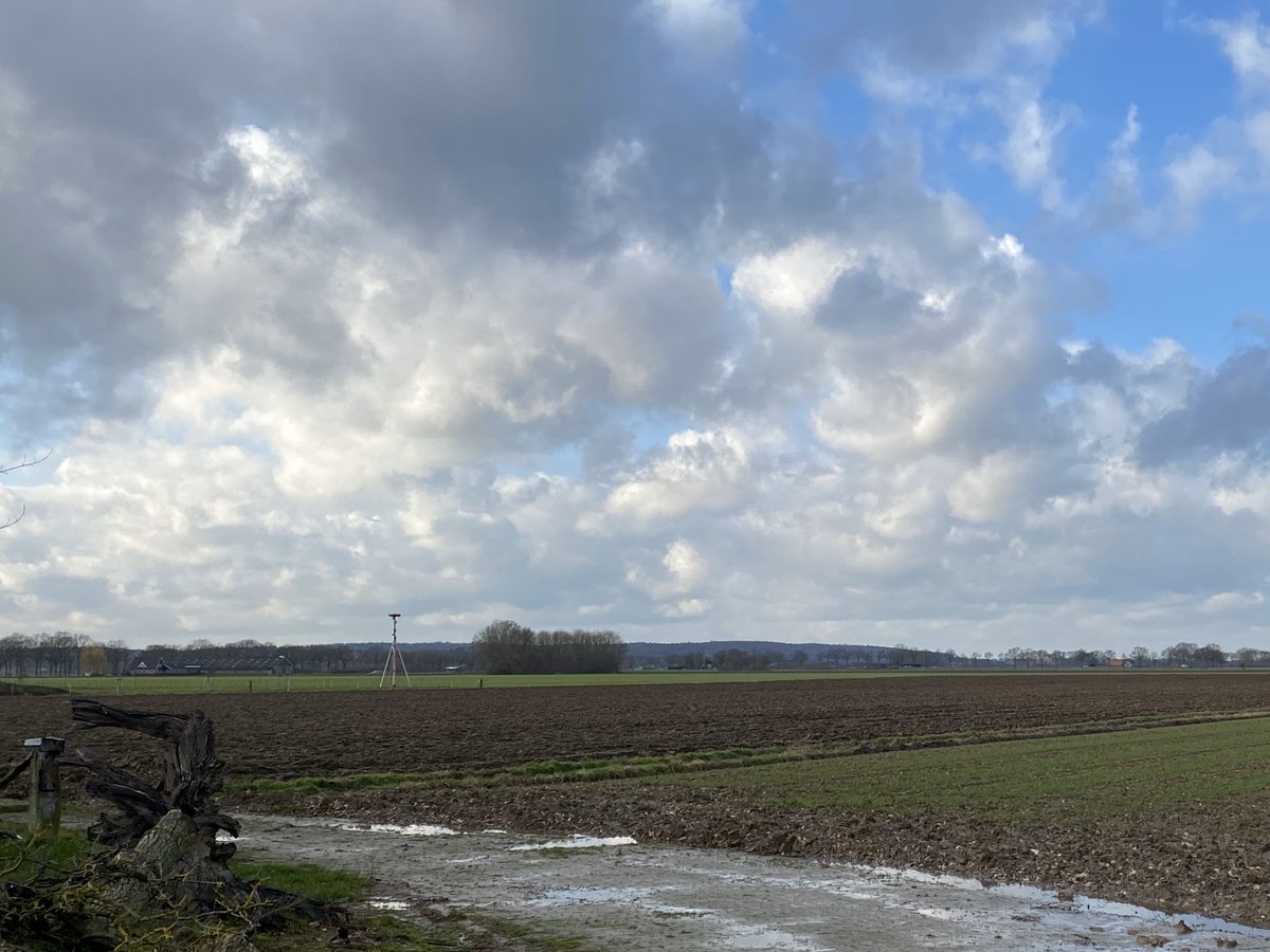 oxelmx's tweet photo. Gewoon een foto van een prachtig uitzicht! Moeten we van genieten gezien @gem_montferland hier windmolens wil plaatsen die zelfs lelijk zijn in zee! #Azewijn #Afvalputje #Schaamu! https://t.co/uPSlg5k4WI