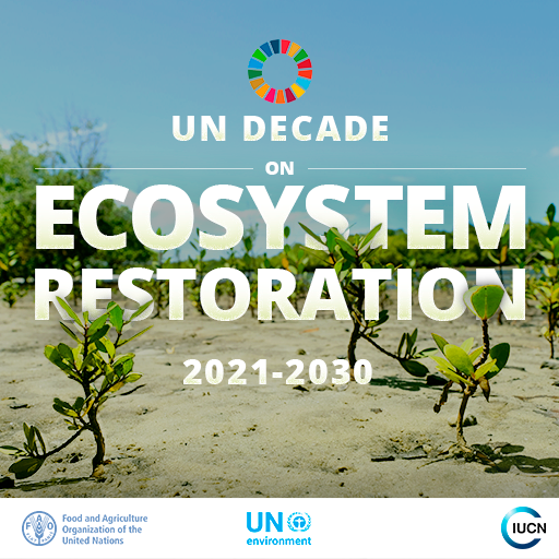 redlisteco's tweet photo. #UN has proclaimed 2021–2030 as the Decade on #EcosystemRestoration. https://t.co/5sxcY4H2ba
The UN Decade positions the restoration of ecosystems as a major #NatureBase solution towards meeting a wide range of global development goals and national priorities.
@UNEP https://t.co/GOoQxe5X2n