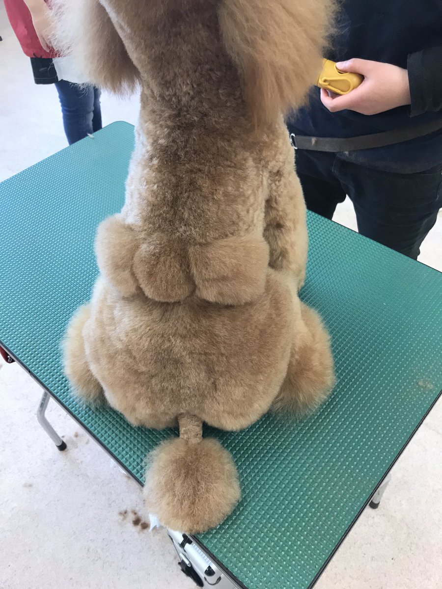 Hashtag おパンツカット Na Twitteru