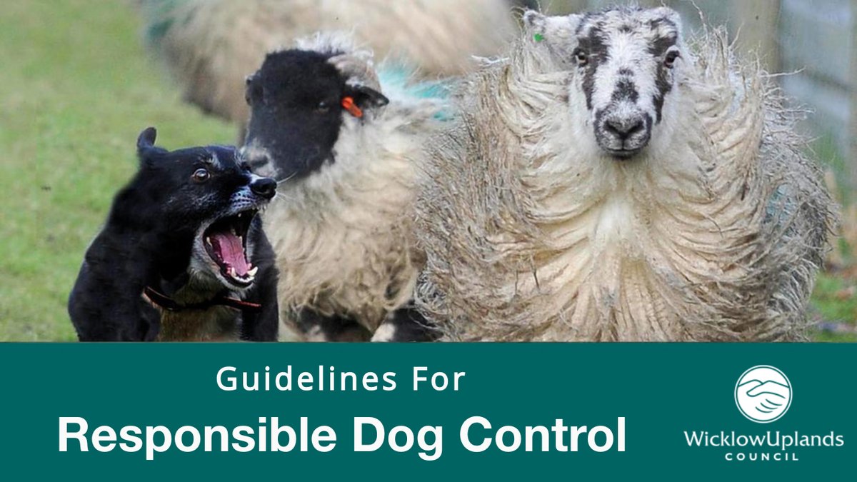 With incidents of Sheep Worrying and Sheep Attacks unfortunately a big issue across rural Ireland, Wicklow Uplands Council has published a set of Guidelines for all Dog Owners living or visiting farmland areas.

Please Read:
wicklowuplands.ie/guidelines-for…