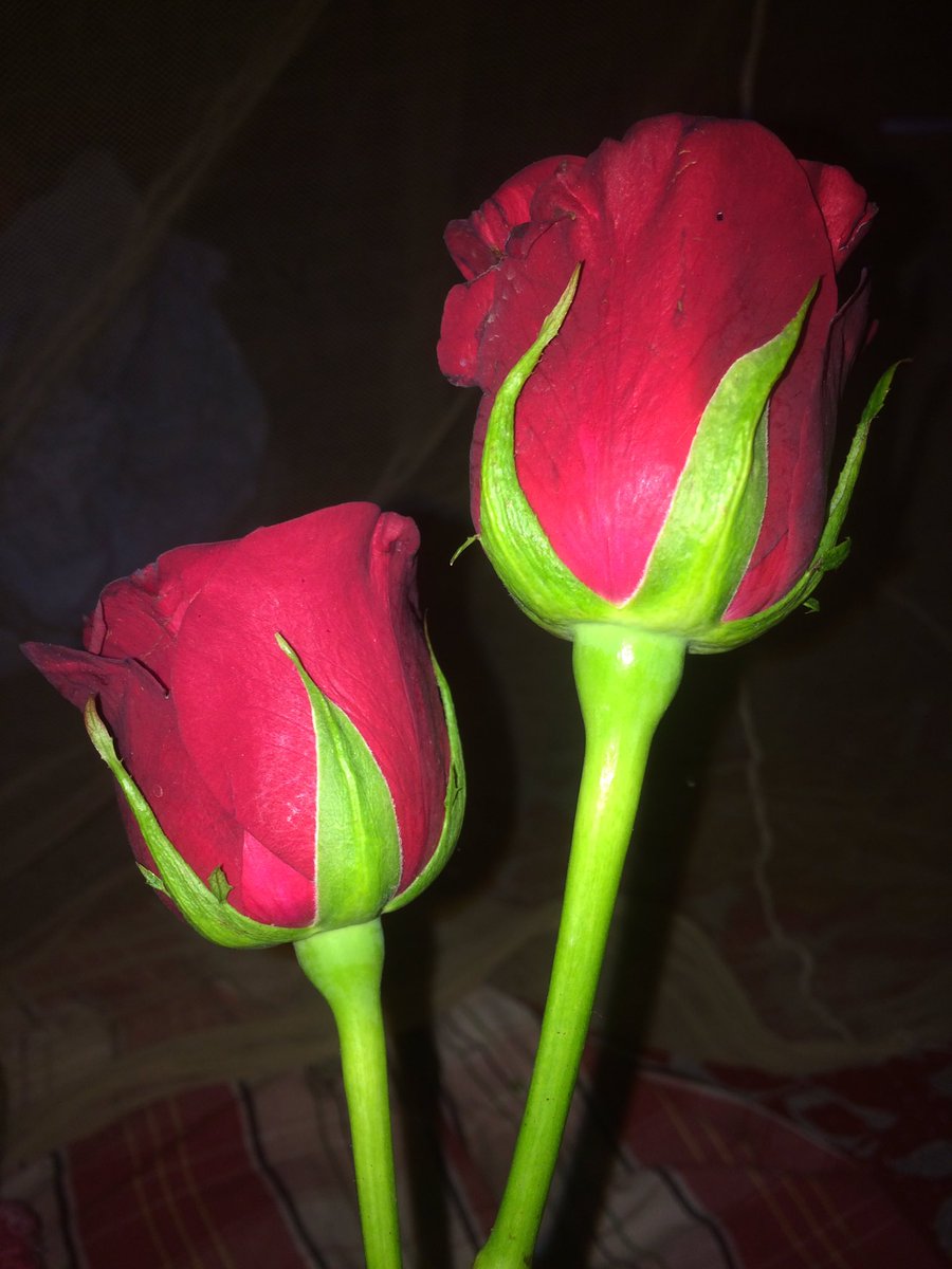 TheAmitKumarAbc's tweet photo. https://t.co/goIFvXkKWO