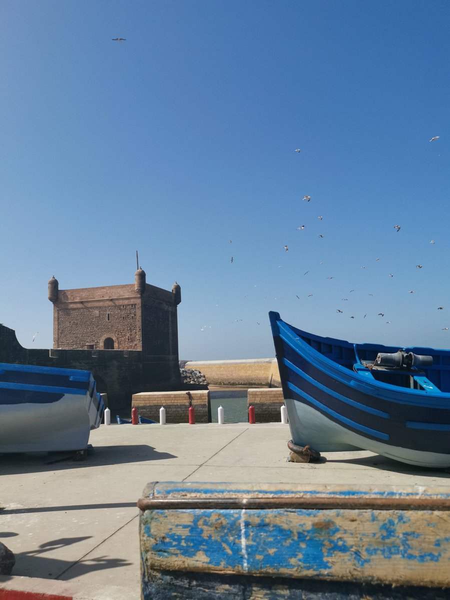 Youchlh's tweet photo. Essaouira 🇲🇦 https://t.co/2M7M9cX26i
