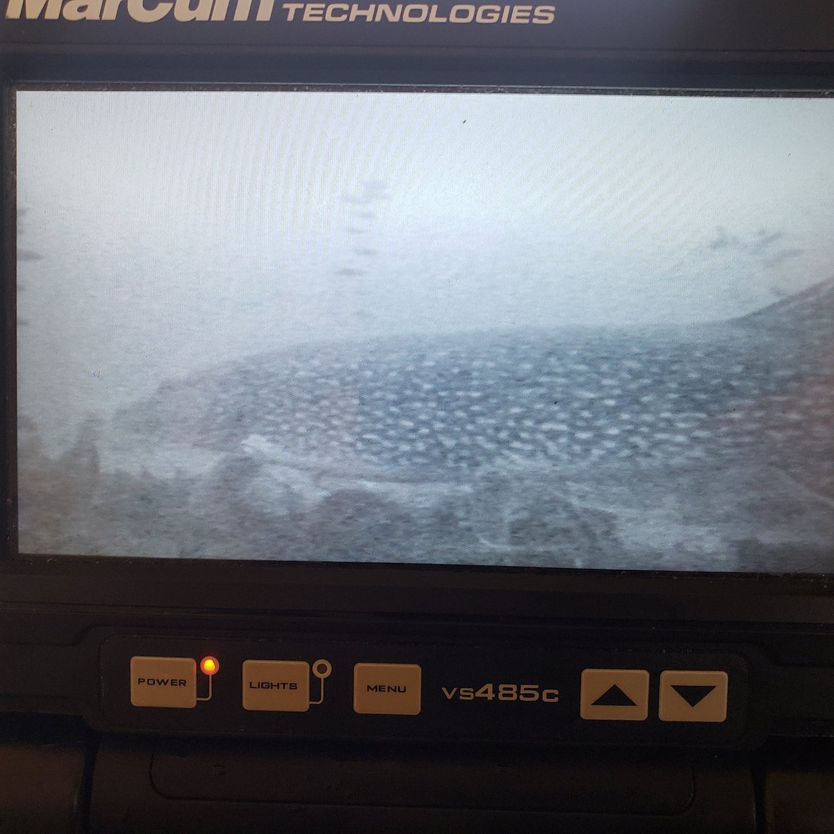 This fish won't bite or leave.. Trying to catch a few gills this morning but this is not helping!