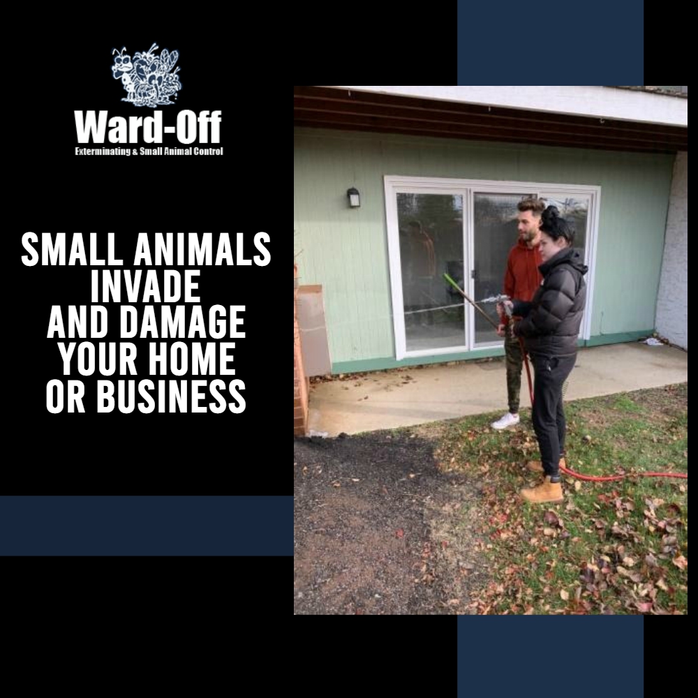 WardOffPest tweet picture