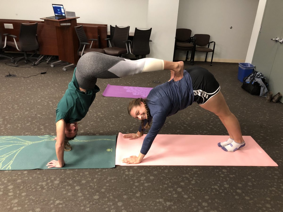 wolfandcompany's tweet image. Don’t let this weather get you downward dog! How do you de-stress at work? #Namaste 🧘
