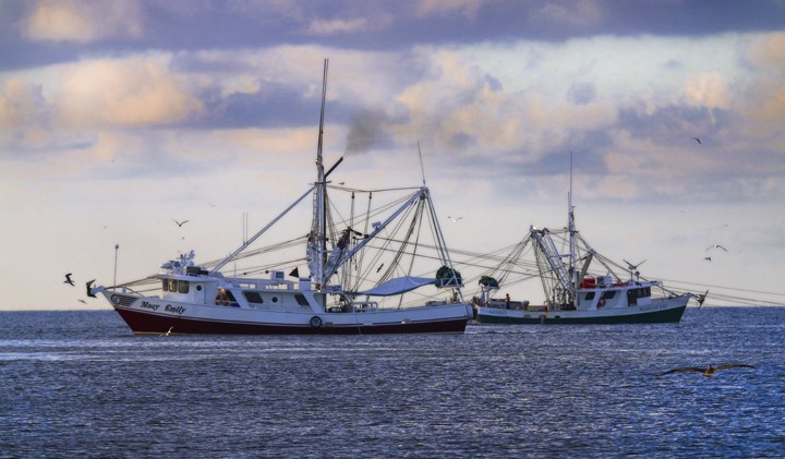 BankWithChoice's tweet photo. Today we're shining the spotlight on Kerian Machines—a family-owned, family-operated business with local roots. Congrats you guys!  

Check out their latest venture to help bring more value to fishermen in the shrimp industry! https://t.co/MjuXFagylK

#ChoiceoftheWeek https://t.co/aqHjZitByB