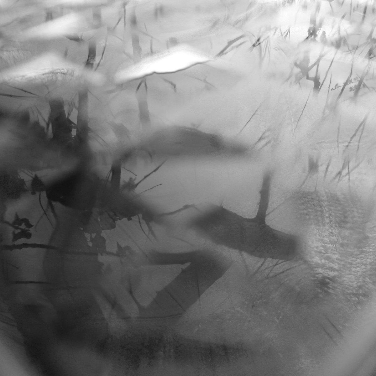 hidevibes's tweet photo. ‘Coalescence of Form’ by Visionary Hours releases in two days, and we’ve got a premiere review of the album at German Rock Magazine! Read the full article by link below:
https://t.co/PEqaV9F8vW
Order CD/DL: https://t.co/ebtgM9iAM0 https://t.co/mMeZd4jvk6