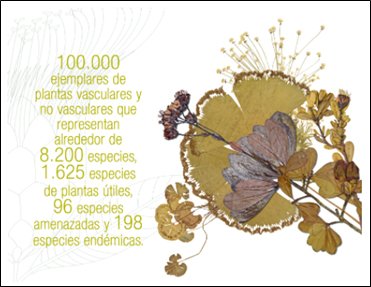OTCAnews's tweet photo. El Proyecto Bioamazonía de la SP/OTCA fortalecerá las #coleccionesbiológicas del @InstitutoSINCHI, en infraestructura de nuevos espacios para almacenamiento del Herbario Amazónico Colombiano #COAH y de las colecciones herpetológicas e ictiológicas #CIACOL. https://t.co/4Ks3VlEgAp https://t.co/7i0zUPOM2k